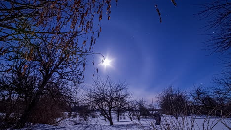Halo-Around-Full-Moon-Lighting-Up-The-Night-Sky-Over-Wintry-Landscape