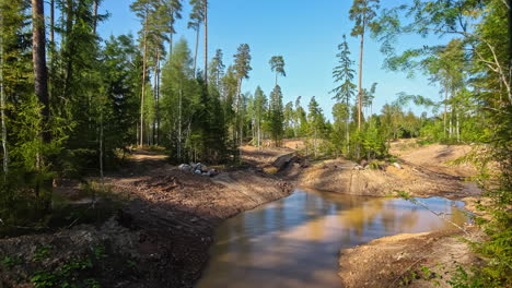 Time-lapse-shot-of-beautiful-sunny-day-with-blue-sky-in-destroyed-forest-with-flooded-fields-after-strong-rainy-night---Deforestation-of-trees-in-Nature---Climate-change-on-earth
