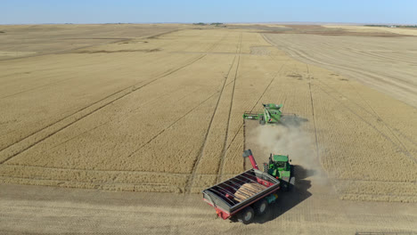 Tractors-Harvesting-The-Grain-Crops-At-The-Farmland-In-Saskatchewan,-Canada