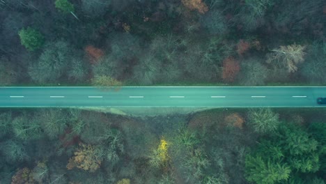 Top-down-drone-shot-of-a-driving-car-in-a-forest---teal-and-orange