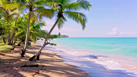 Malerischer-Blick-Auf-Den-Tropischen-Strand-Von-Playa-Bonita-In-Las-Terrenas,-Dominikanische-Republik---Statischer-Schuss