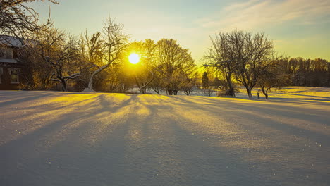 Malerischer-Goldener-Sonnenaufgang,-Der-Sich-Während-Eines-Schneekalten-Wintertages-In-Der-Natur-Hinter-Blattlosen-Bäumen-Erhebt