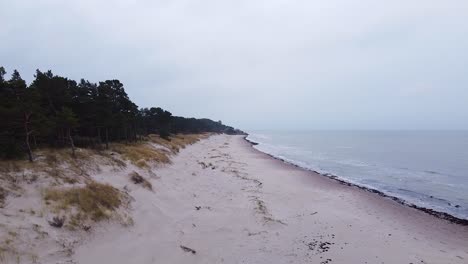 Luftaufnahme-Der-Ostseeküste-Am-Bernati-strand-In-Lettland,-Fliegen-über-Enge-Küstenkiefern-Und-Den-Weißen-Sandstrand,-Von-Meereserosion-Betroffene-Küste,-Aufsteigende-Weitwinkel-dolly-drohnenaufnahme-Links