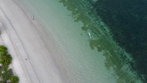 Aerial-person-walking-along-a-white-sandy-beach-and-a-traditional-fishing-boat-paddling-along-the-shoreline-of-a-remote-tropical-island,-top-down-birds-eye-view
