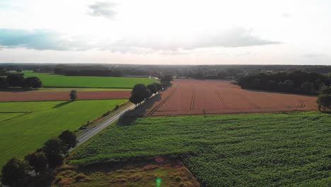 aerial-drone-flight-towards-bright-sky-over-trees-and-fields