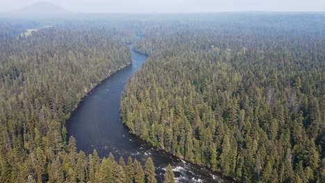 Der-Atemberaubende-Murtle-River,-Der-Sich-Durch-Den-üppigen-Und-Malerischen-Wells-Grey-Provincial-Park-In-British-Columbia,-Kanada,-Schlängelt