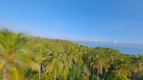 Drone-Volando-Bajo-A-Través-Del-Bosque-Tropical-Hacia-La-Playa-Desierta,-Isla-Y-Costa-De-Playa-Luci-Landia,-República-Dominicana