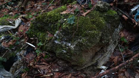 old-garbage-on-mossy-rocks-pollutes-the-environment,-close-up-shot