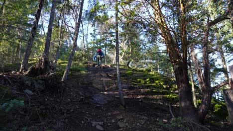 Männlicher-Wanderer-Auf-Einem-Felsen--Und-Waldweg-Auf-Vancouver-Island,-Kanada,-Einsamer-Baumhügel