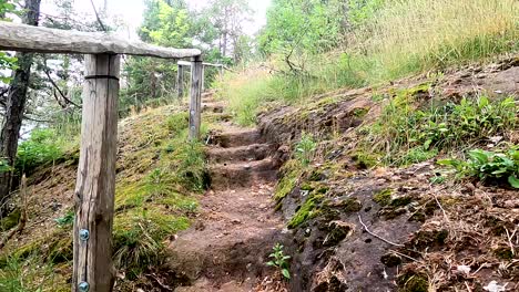 Climbing-uphill-by-natural-stairs-with-a-wooden-railing-leading-through-the-forest-on-a-summer-day---first-person-view