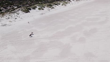 Aerial-view-of-tourists-enjoying-horse-ride-on-white-sands-of-an-isolated-beach
