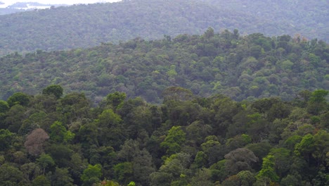 Overlooking-an-amazon-mountain-range-covered-in-trees