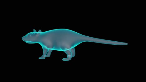Ein-Wunderschöner-3D-Ratten-Hologramm-Plattenspieler-Render