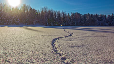 Beautiful-nature-landscape-of-footstep-trails-on-a-snow-covered-field