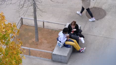 Two-young-friends-sit-on-a-concrete-bench-under-a-tree-and-talk-to-eachother,-drinking-from-plastic-cups