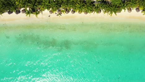 Playa-Tropical-De-Lujo-En-Mauricio