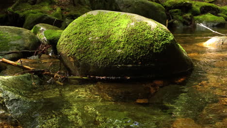 4k-New-Hampshire-wilderness-stationary-shot-of-a-river-boulder-covered-in-moss-as-a-single-green-leaf-calmly-floats-by