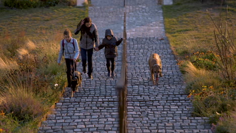 Family-with-two-dogs-walking-up-paved-stairs-in-park-in-autumn
