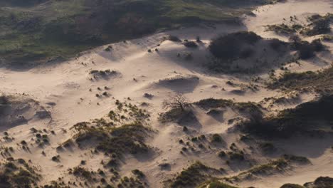 Sand-dunes-glowing-in-evening-sunlight-in-semi-arid-desert-in-the-Netherlands---aerial