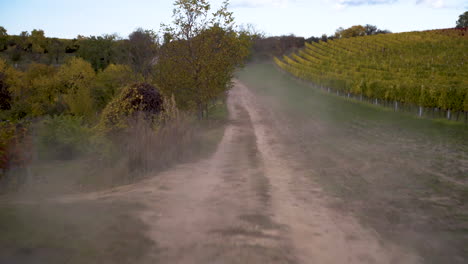 Fast-action-dolly-shot-of-dusty-country-road-along-vineyard-in-autumn