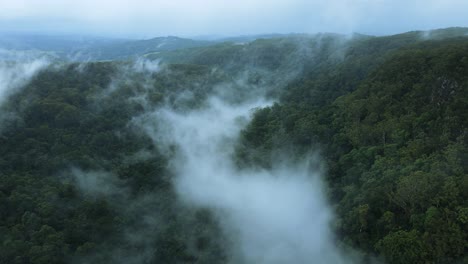Dichter-Nebel,-Der-Sich-Entlang-Einer-Tropischen-Buschschlucht-Bildet,-Die-Hoch-über-Einer-Bergkette-Im-Hinterland-Liegt