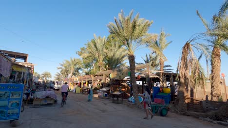 Local-People-Walking-Along-Dahab-Seaside-Street-Stalls-With-Palm-Tree-Coastline-In-Egypt-In-Morning-Light