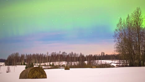 Low-angle-shot-of-spectacular-northern-lights,-Aurora-borealis-on-display-in-timelapse-during-freezing-winter-night-over-snow-covered-forest-lit-by-full-moon