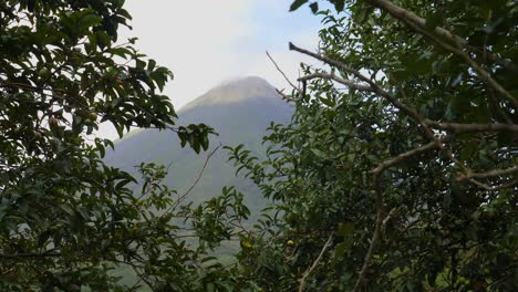 Medium-shot,-wind-blowing-the-tree-branches-revealing-a-scenic-view-of-Arenal-volcano-in-Costa-Rica