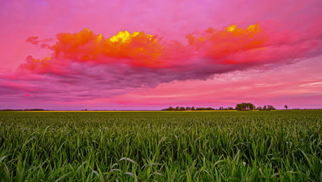 Incredible-purple-sky-at-sunset-with-farmers-field