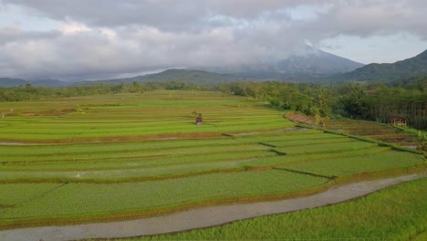 Luftaufnahme-Von-Terrassierten-Reisfeldern-Mit-Einem-Wolkenbedeckten-Berg-Im-Hintergrund-In-Magelang,-Indonesien