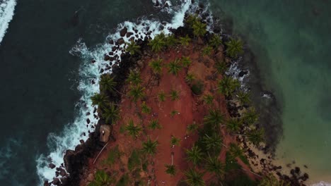 Aerial-view-of-Coconut-Tree-Hill-Mirissa-ocean-waves-crashing-on-shore,-top-down-static-shot