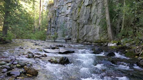 Rapids-Over-Smooth-Mossy-Rocks-On-River-Creek-In-Forest