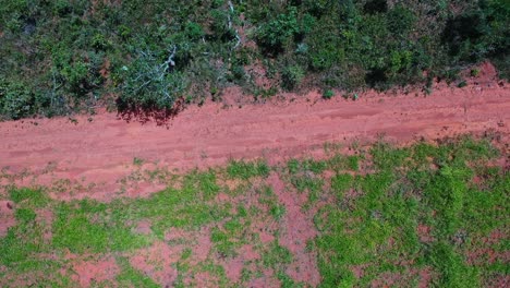 Deforested-land-in-the-Brazilian-savannah-is-susceptible-to-drought-and-climate-change---overhead-straight-down-view