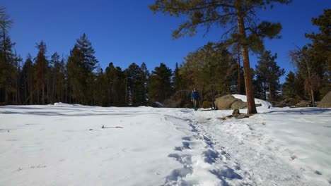 Hiker-walking-towards-the-camera-on-a-snowy-trail-in-a-pine-forest-during-winter