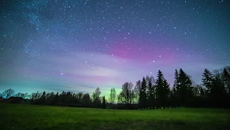 Aurora-Boreal-Colorida-En-El-Cielo-Nocturno-Estrellado-Con-Siluetas-De-árboles-En-El-Bosque