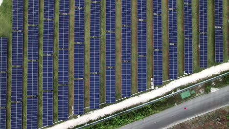 Vista-Aérea-De-Pájaros-Sobre-Filas-De-Paneles-Solares-Fotovoltaicos-Que-Generan-Energía-Limpia-Del-Sol