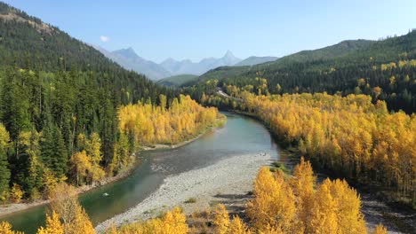 Yellow-Aspen-Trees-In-The-Forest-With-Flathead-River-In-Glacier-National-Park,-Montana,-USA