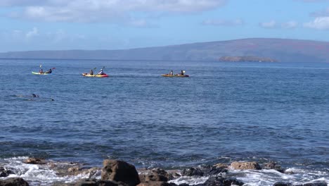 Vacaciones-En-Maui,-Viajes,-Turismo,-Gente-Haciendo-Kayak-Y-Snorkel