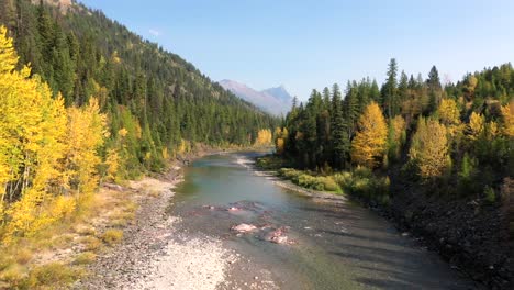 Narrow-And-Shallow-River-Flowing-At-The-Center-Of-Lush-Autumn-Foliage-in-glacier-national-park,-montana---Medium-shot