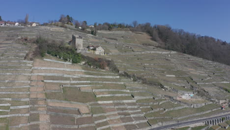 Aerial-of-old-buildings-surrounded-by-large-vineyard-in-rural-Switzerland