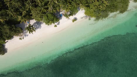 Blick-Von-Oben-Auf-Die-Küste-Mit-Weißem-Sand-Und-Sonnenliegen-Am-Strand-Der-Malediven-Insel