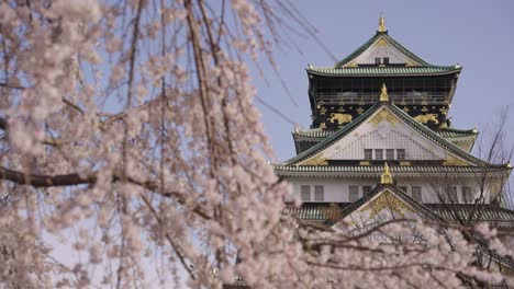 4k-Osaka-Castle-in-Spring,-Rack-Focus-Reveal-From-Sakura-Tree