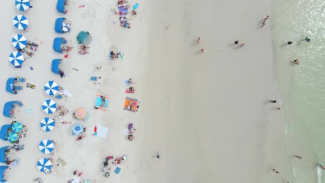 Top-down-view-of-people-in-a-white-sand-beautiful-beach-in-Clearwater,-Florida