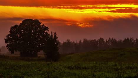 Static-shot-of-sunset-in-timelapse-through-dark-clouds-over-green-grassland-with-the-view-of-forest-in-the-background-during-spring-day-at-sunset