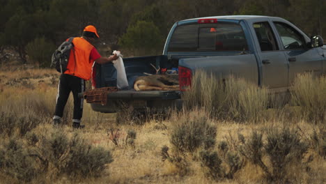 Hunter-finishes-packing-the-truck-before-driving-away-with-his-legally-killed-deer