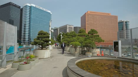 Ein-Blick-Auf-Den-Seoullo-7017-Skypark-Mit-Springbrunnen,-Blumen-Und-Bäumen-über-Der-Autobahn-In-Der-Innenstadt-Von-Südkorea