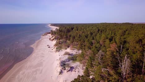 Aerial-view-of-Baltic-sea-coast-on-a-sunny-day,-steep-seashore-dunes-damaged-by-waves,-broken-pine-trees,-coastal-erosion,-climate-changes,-high-altitude-wide-angle-drone-shot-moving-forward