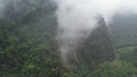 Dron-Explorando-La-Jungla-Mexicana-Durante-Un-Día-De-Niebla