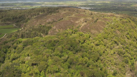 Aerial-diving-shot-of-Knockomagh-Wood