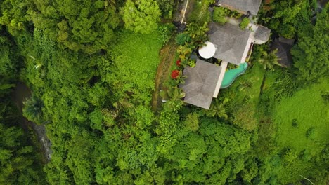 Beautiful-cinematic-Ubud,-Bali-drone-footage-with-exotic-rice-terrace,-small-farms,-campuhan-ridge-walk-and-agroforestry-plantation